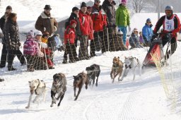 Lenk 2012 SM